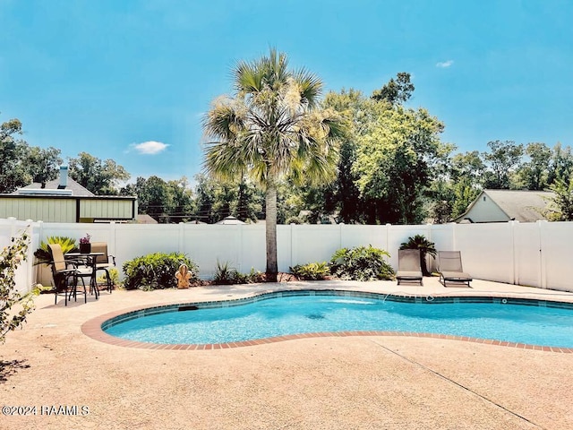 view of swimming pool featuring a patio