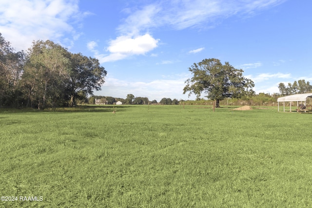 view of yard with a rural view