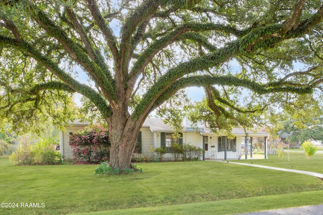 ranch-style house with covered porch and a front yard