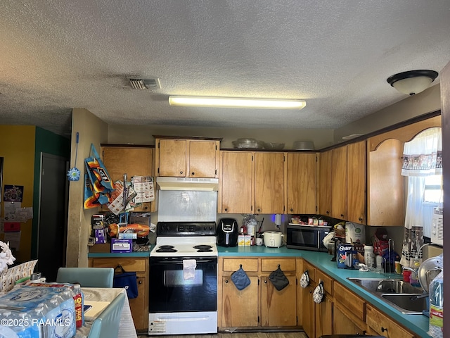 kitchen with visible vents, electric range, a sink, black microwave, and under cabinet range hood