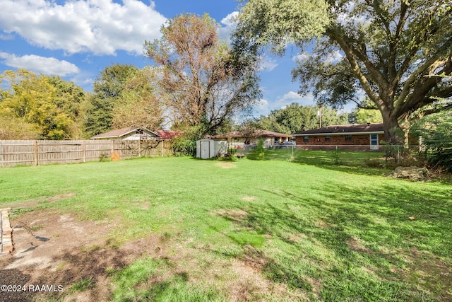 view of yard with a storage shed