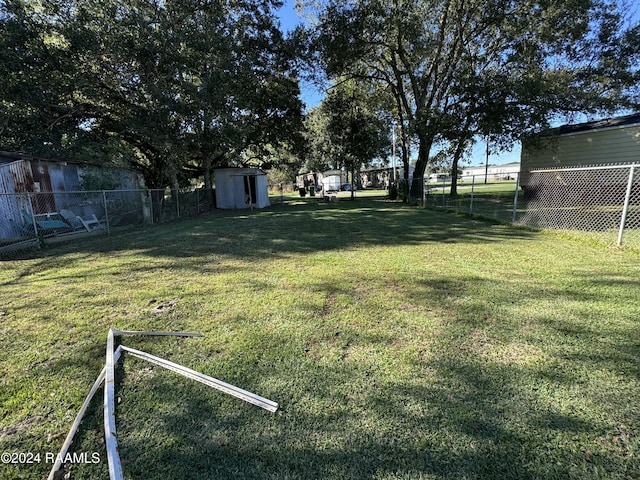 view of yard with a storage unit