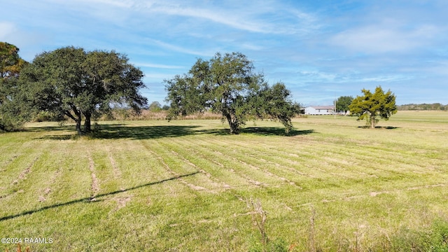 1049 Gravot Rd, Iota, LA 70543