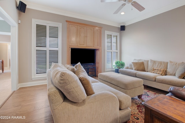 living room with light hardwood / wood-style flooring, ceiling fan, and crown molding