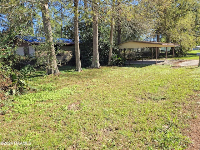 view of yard featuring a carport