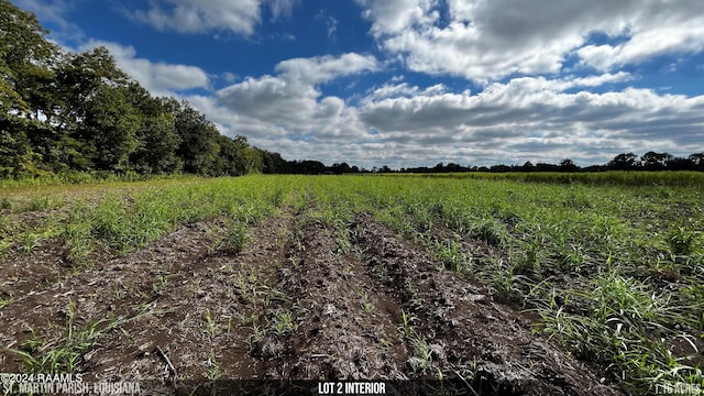 1067 Jeffrey Broussard Rd Lot 2, Breaux Bridge, LA 70517 - photo 12