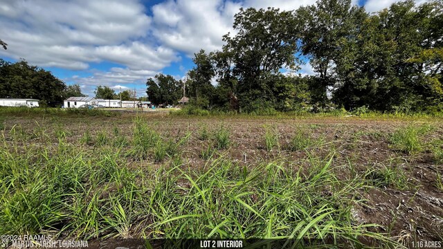 1067 Jeffrey Broussard Rd Lot 2, Breaux Bridge, LA 70517 - photo 13