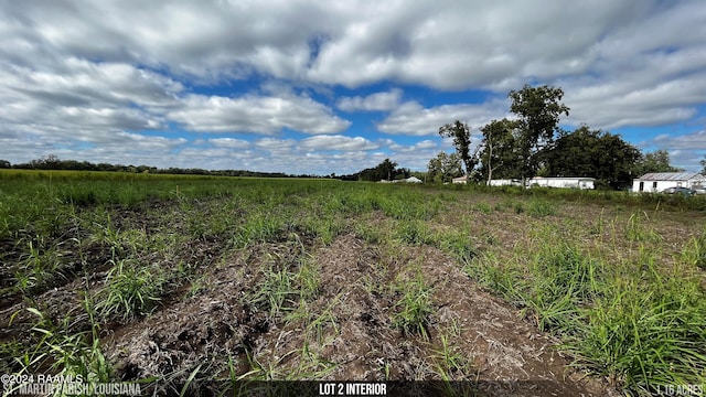 1067 Jeffrey Broussard Rd Lot 2, Breaux Bridge, LA 70517 - photo 14