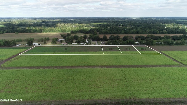 1067 Jeffrey Broussard Rd Lot 2, Breaux Bridge, LA 70517 - photo 5