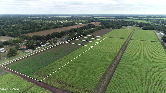 1067 Jeffrey Broussard Rd Lot 2, Breaux Bridge, LA 70517 - photo 3