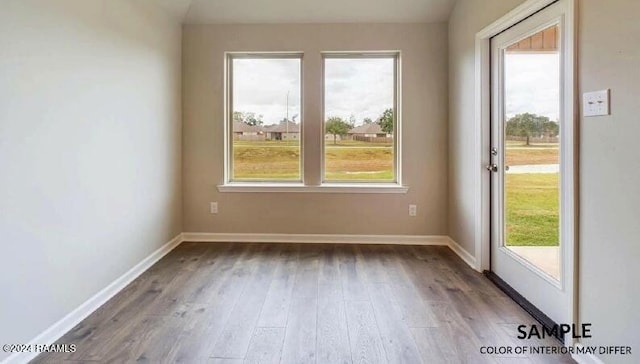 empty room featuring wood-type flooring and a wealth of natural light