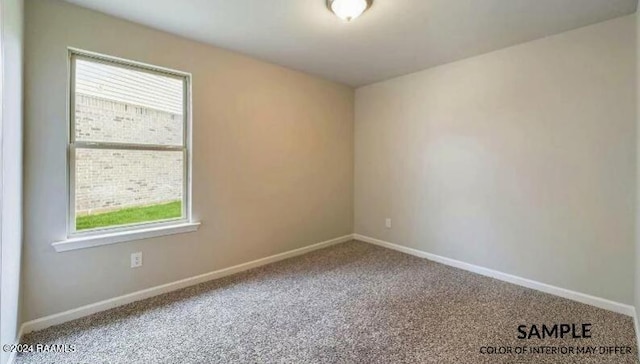 spare room with carpet flooring and a healthy amount of sunlight