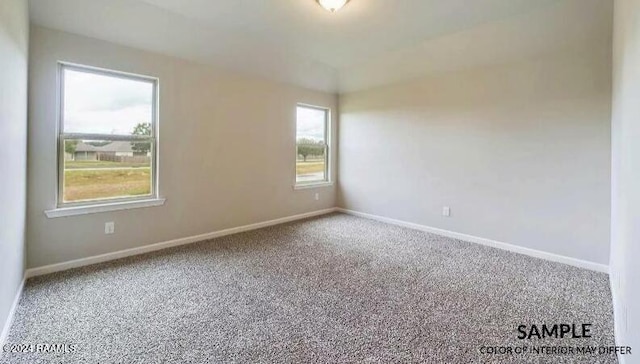 unfurnished room featuring carpet and a wealth of natural light