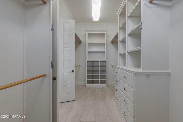 view of walk in closet