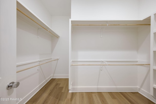 spacious closet featuring hardwood / wood-style floors