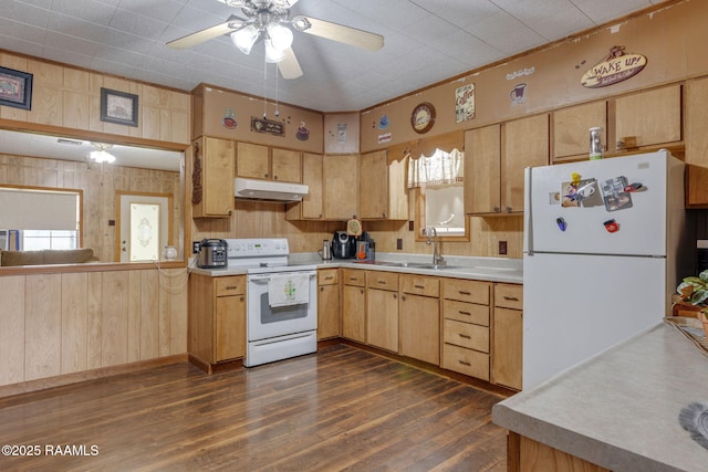 kitchen with white appliances, wooden walls, dark hardwood / wood-style flooring, ceiling fan, and sink