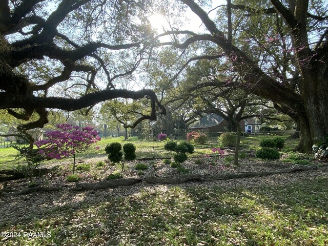 16311 Langlinais Ln, Abbeville, LA 70510 - photo 27