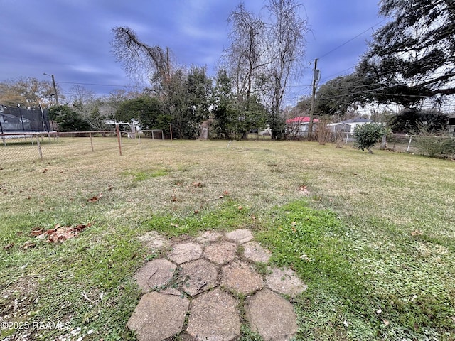 view of yard featuring a trampoline