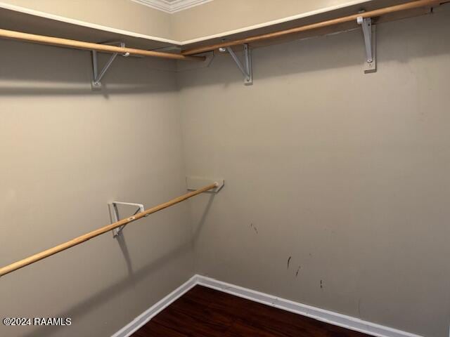 spacious closet featuring dark wood-type flooring