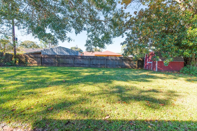 view of yard featuring a shed