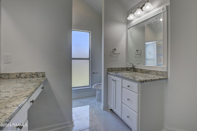 bathroom featuring vanity, toilet, and lofted ceiling