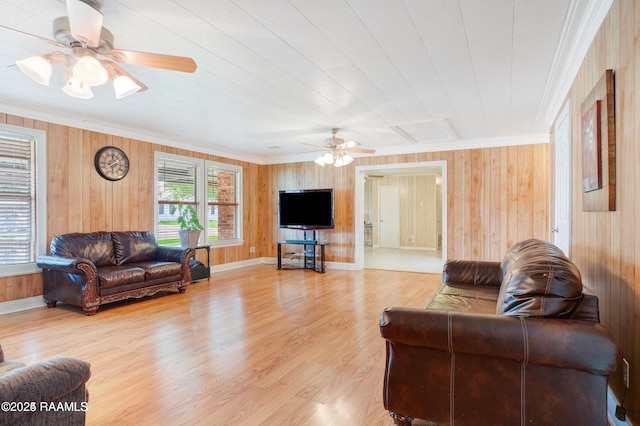 living room featuring ceiling fan, light wood-type flooring, and crown molding