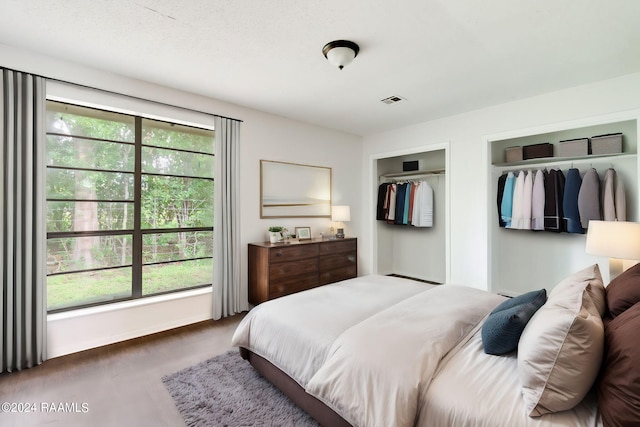 bedroom featuring multiple windows, dark wood-type flooring, and two closets