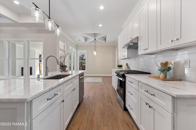 kitchen with appliances with stainless steel finishes, a sink, under cabinet range hood, and decorative backsplash