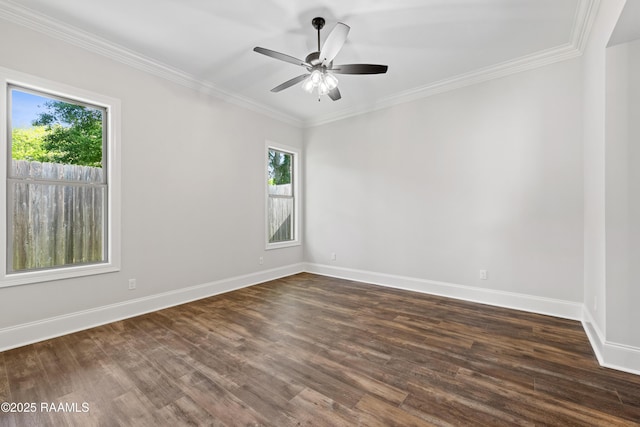 spare room with baseboards, plenty of natural light, and dark wood-type flooring