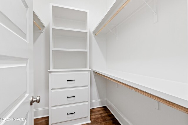 walk in closet featuring dark wood-style flooring