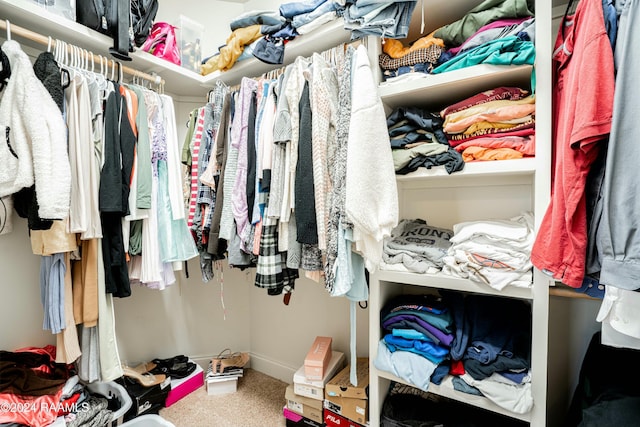 view of spacious closet