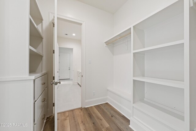 spacious closet featuring light wood finished floors