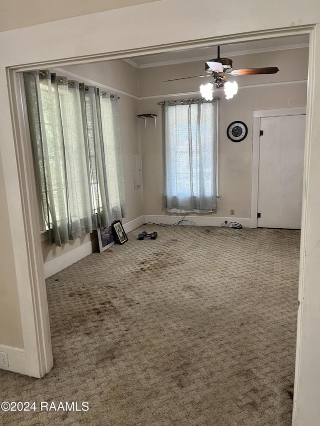 222 Martin St, Breaux Bridge, LA 70517 - photo 3