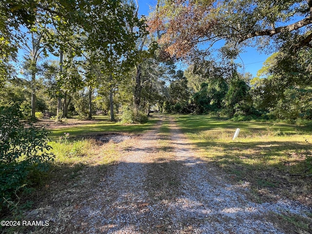 5613 E Old Spanish Trl, New Iberia, LA 70560 - photo 9
