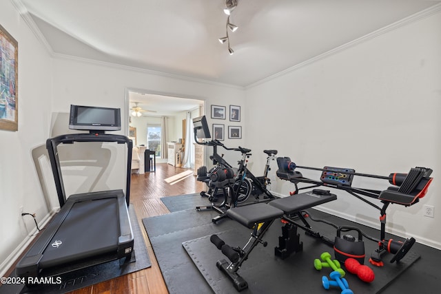 workout area featuring rail lighting, dark hardwood / wood-style floors, ceiling fan, and crown molding