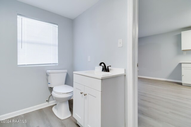 bathroom with vanity, wood-type flooring, and a wealth of natural light