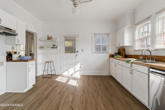 kitchen featuring dishwasher, white cabinetry, and sink