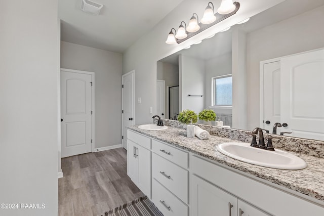 bathroom with vanity and wood-type flooring