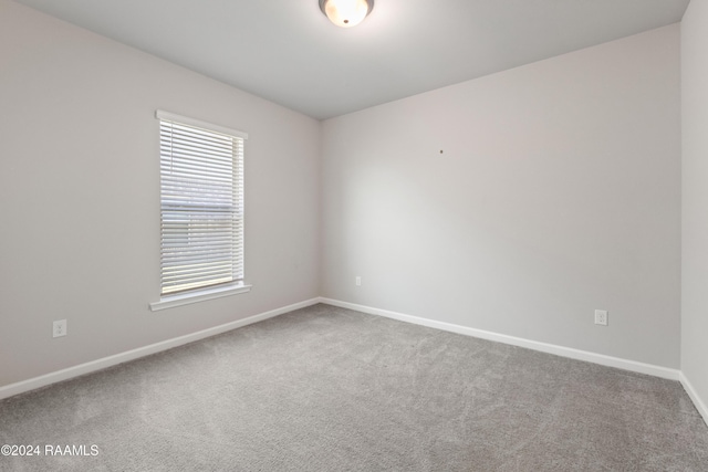 spare room with carpet floors