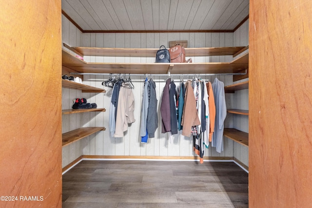 walk in closet featuring wood-type flooring