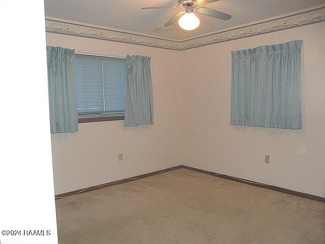 spare room with light carpet, ceiling fan, and ornamental molding