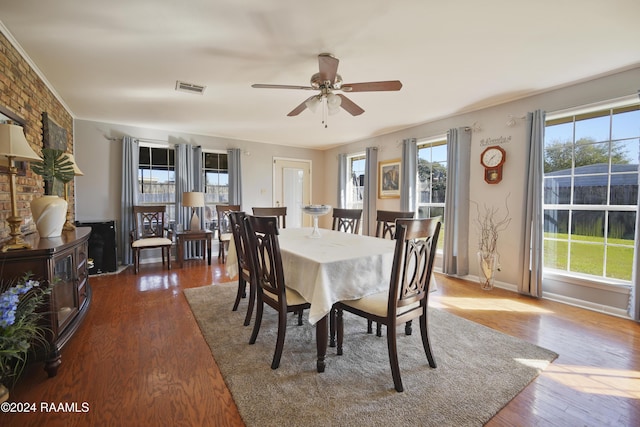 dining room with a wealth of natural light, ceiling fan, and dark wood-type flooring