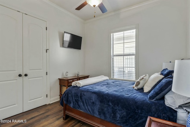 bedroom featuring dark hardwood / wood-style flooring, a closet, multiple windows, and ceiling fan