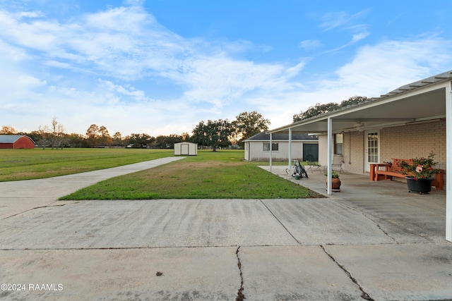 view of yard with a patio and a shed