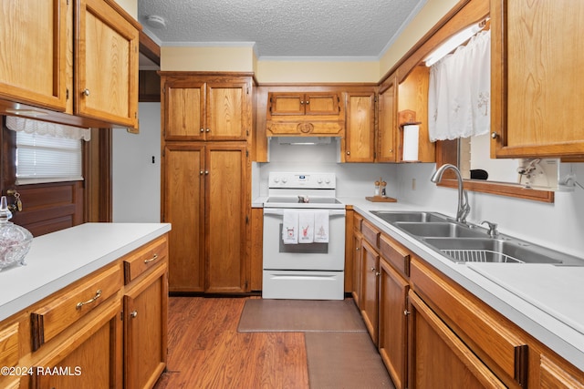 kitchen with electric range, dark hardwood / wood-style flooring, a textured ceiling, and sink