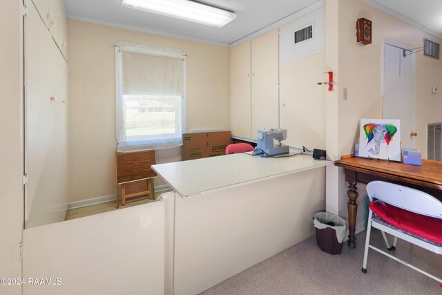 office area featuring carpet flooring and ornamental molding