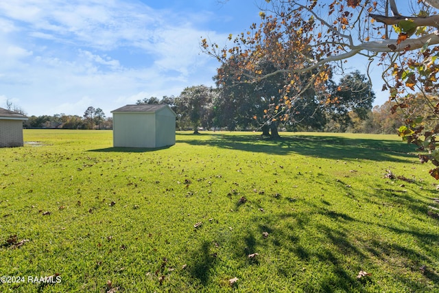 view of yard featuring a storage shed