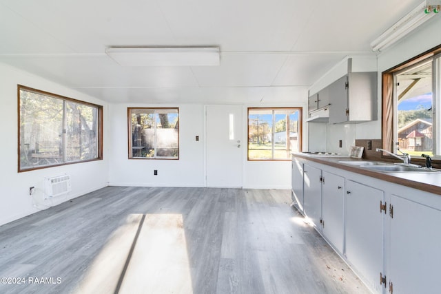 kitchen featuring light hardwood / wood-style floors, a wall unit AC, sink, and a wealth of natural light