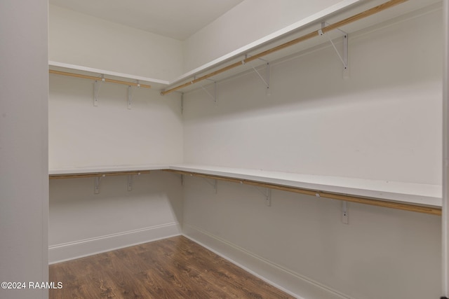 spacious closet featuring dark wood-type flooring