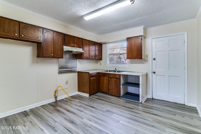 kitchen with crown molding, sink, a textured ceiling, and light hardwood / wood-style flooring